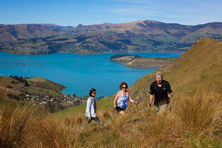 Lyttelton Harbour